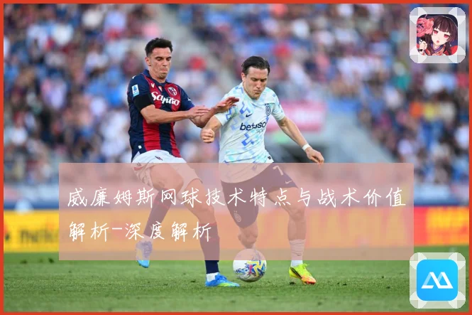 威廉姆斯网球技术特点与战术价值解析-深度解析