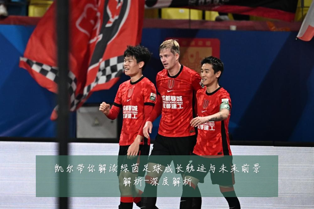 凯尔带你解读绿茵足球成长轨迹与未来前景解析-深度解析