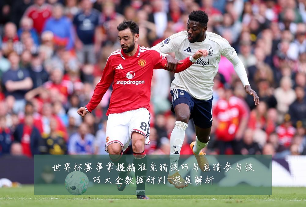 世界杯赛事掌握精准竞猜技巧与竞猜参与技巧大全数据研判-深度解析
