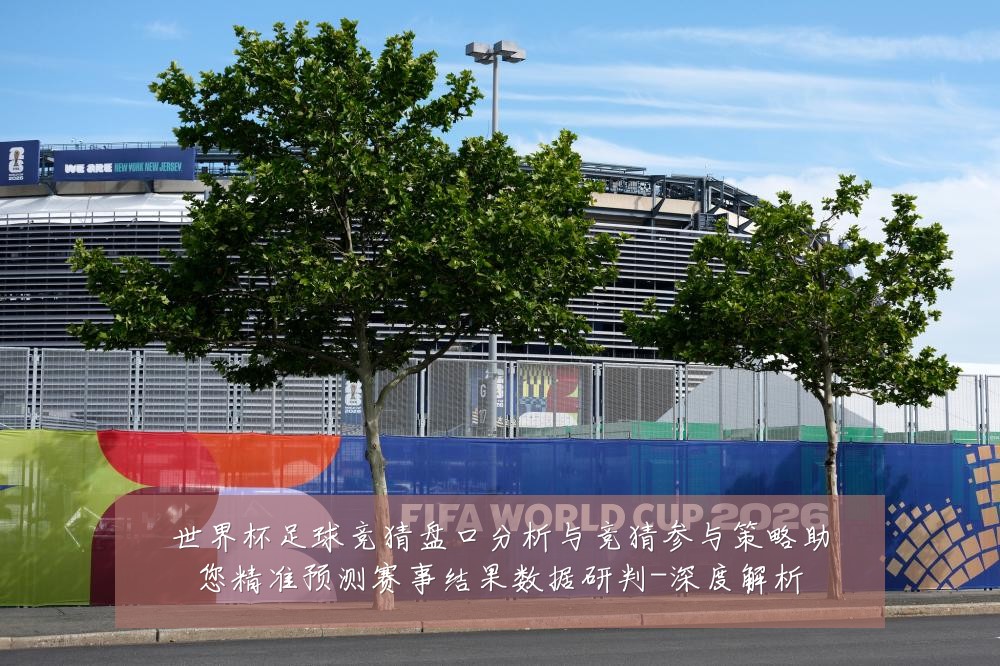 世界杯足球竞猜盘口分析与竞猜参与策略助您精准预测赛事结果数据研判-深度解析