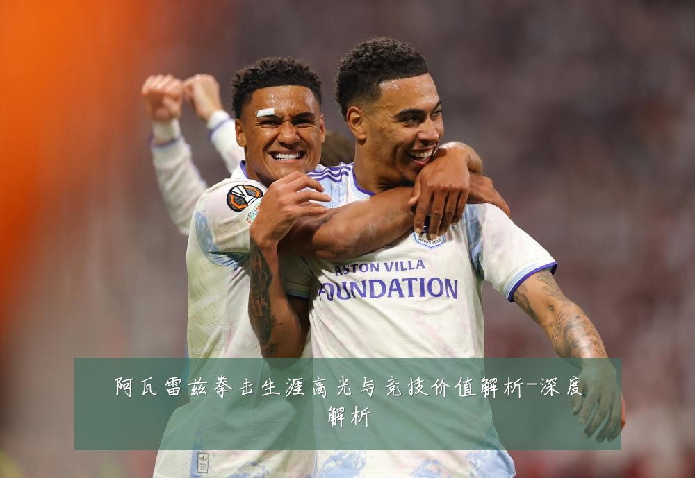 阿瓦雷兹拳击生涯高光与竞技价值解析-深度解析